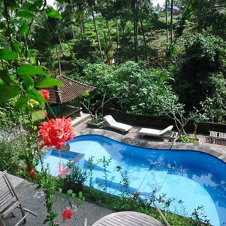Sari Wangi Cottage Ubud Dış mekan fotoğraf