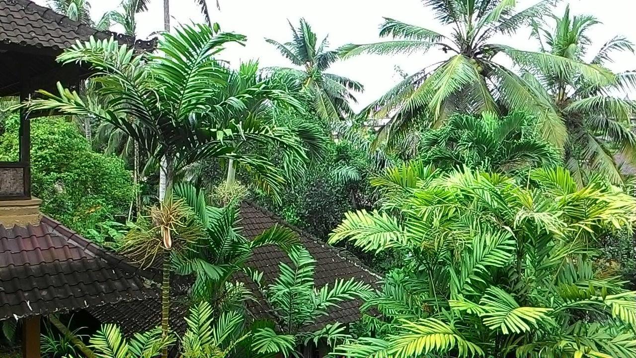 Sari Wangi Cottage Ubud Dış mekan fotoğraf