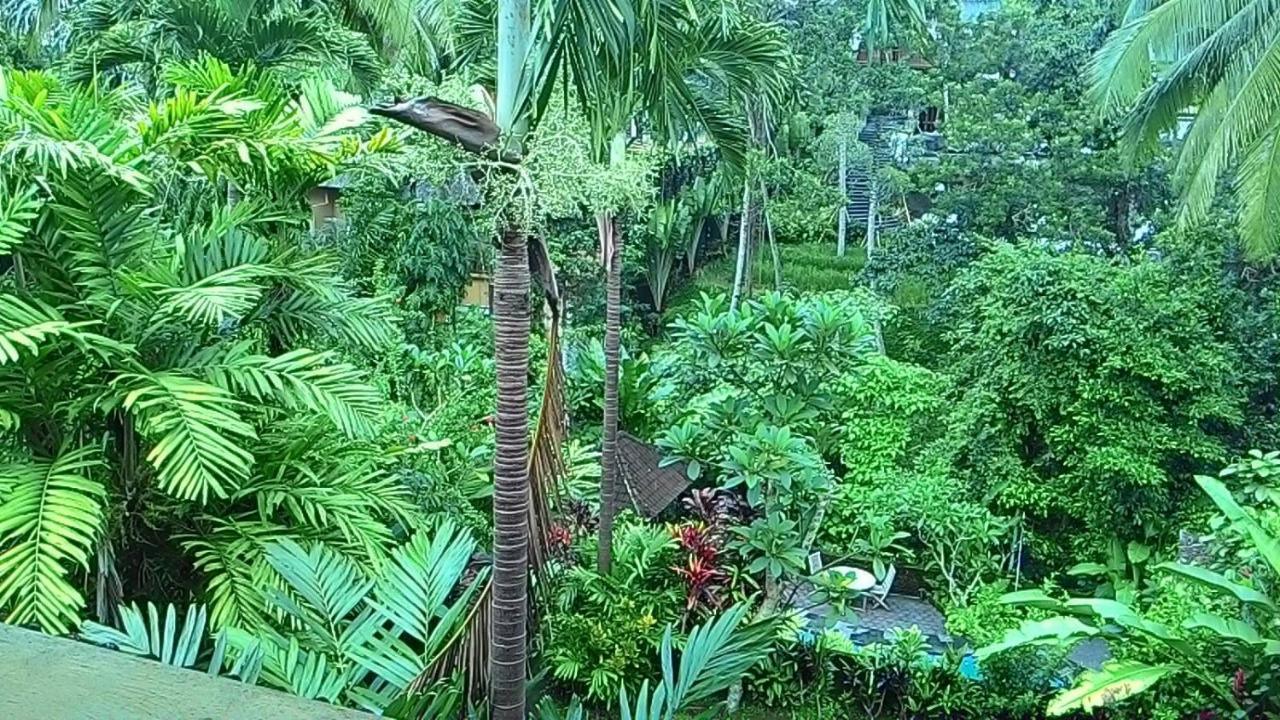 Sari Wangi Cottage Ubud Dış mekan fotoğraf